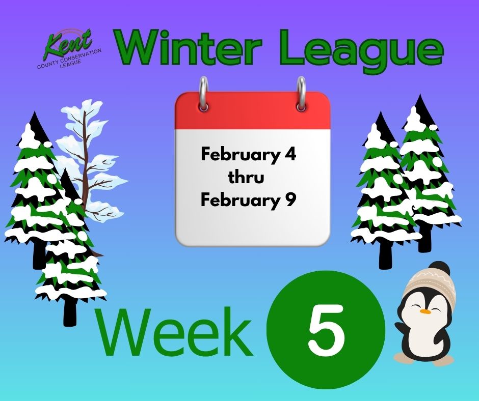 KCCL's Winter League Week 5